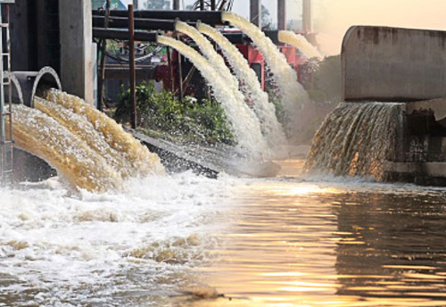 India needs policy programs to promote industrialization and environment protection: MIWA