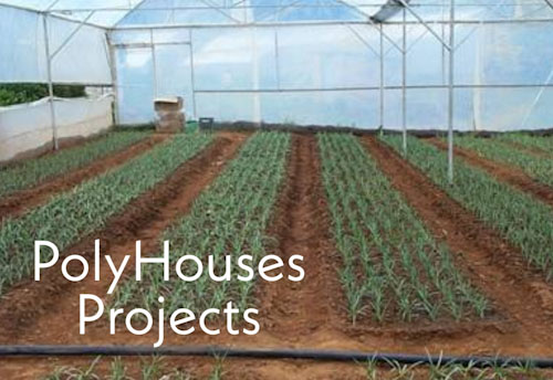 NABARD to fund low cost polyhouses project to spur self-employment in Goa