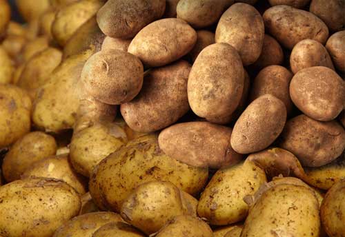 Won’t allow certain section of traders to make most out of this situation: WB Govt on Potato price
