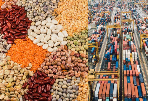 Pulses importers asked to complete their import by Oct 13, 2019