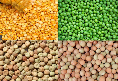 Govt extends import restrictions on peas and pulses