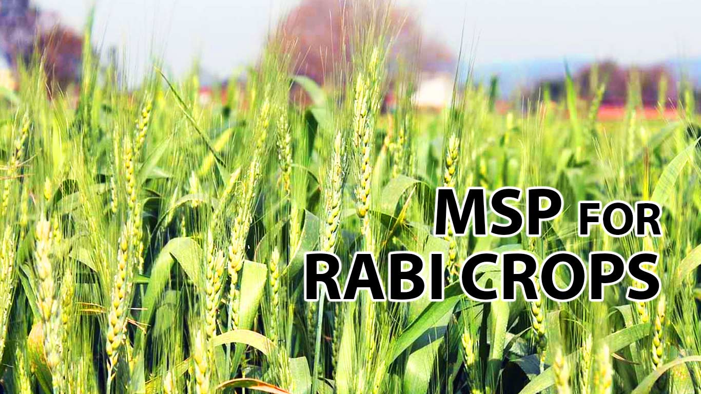 Govt Increases MSP For Rabi Crops For 2025-26 Season