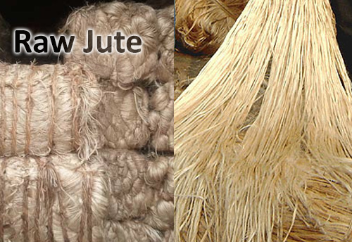 CCEA approves MSP for Raw Jute for 2018-19 seasons, Centrally Sponsored Scheme of National Bamboo Mission