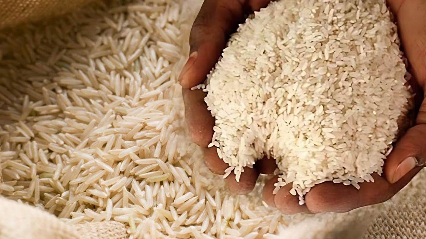 Indian Rice Export Prices Decline Amid Expanded Cultivation and Subdued Global Demand