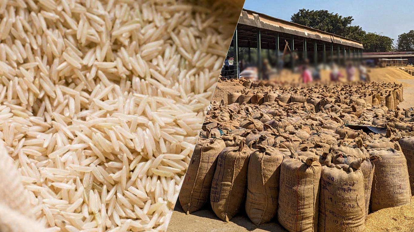 Withdrwal of Exports Curb Push Indian Rice Prices By 10-15%