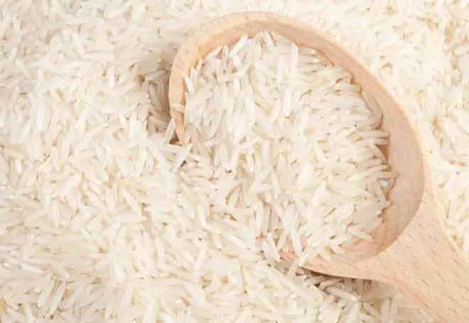 Punjab Association Urges Govt To Reconsider Curb On Rice Exports