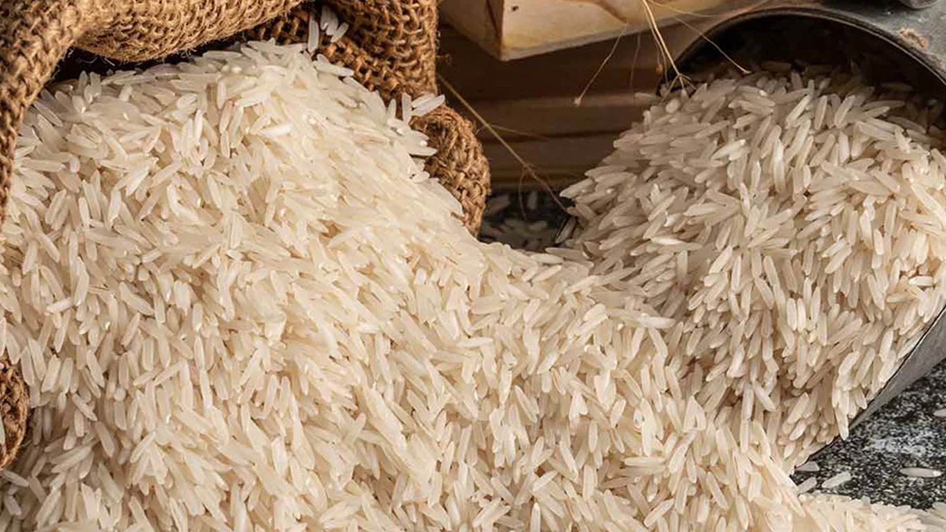 Rice Exports To Select European Nations Exempted From Mandatory Inspection For 6 Months