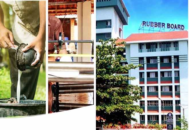 Rubber Producers Societies need turning to product manufacturing to survive: Rubber Board