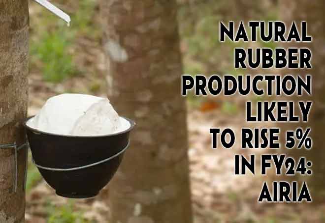 Natural Rubber Production Likely To Rise 5% In FY24: AIRIA