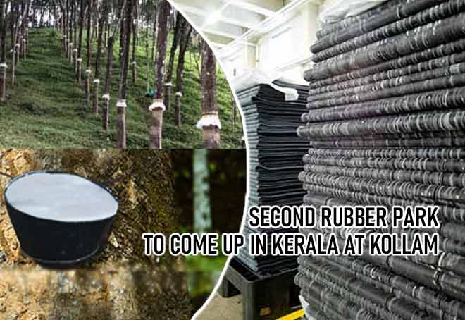 Second Rubber Park to come up in Kerala at Kollam