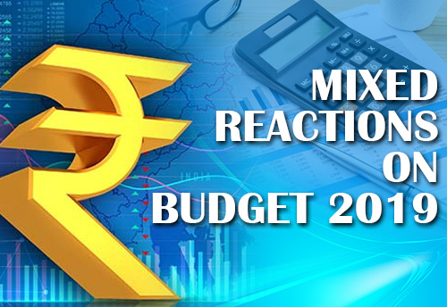 Reaction of experts from various sectors on Budget 2019