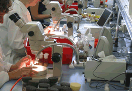 Andhra govt to establish hazard analysis laboratory for MSMEs in Vishakhapatnam