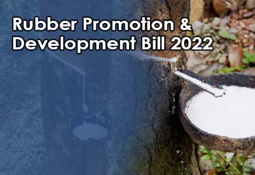 Centre extends last date for submitting views on proposed Rubber Promotion and Development Bill 2022 up to 09 February 2022