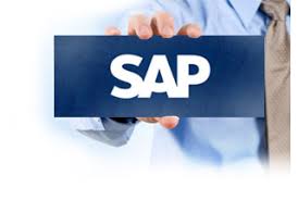 SAP launches 'GST in a box' - an all-inclusive solution portfolio designed to help SMEs