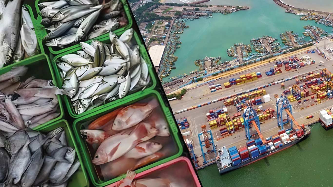 Indian Seafood Industry Reels from US Tariff Shock, Seeks 30% Working Capital Boost