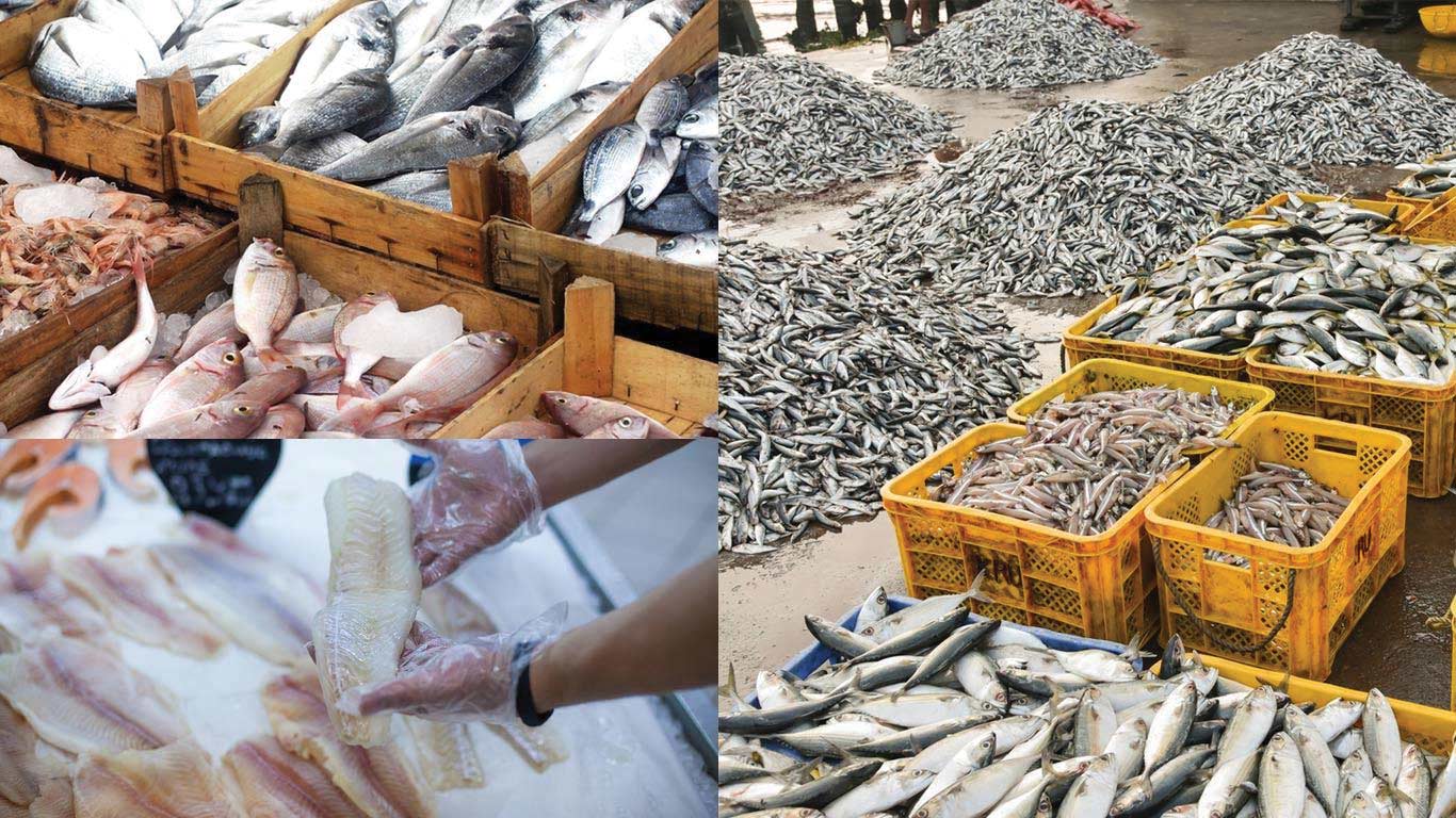 Govt Urges Seafood Exporters To Seek New Markets, Upgrade Value Addition Amid US Tariff Hike