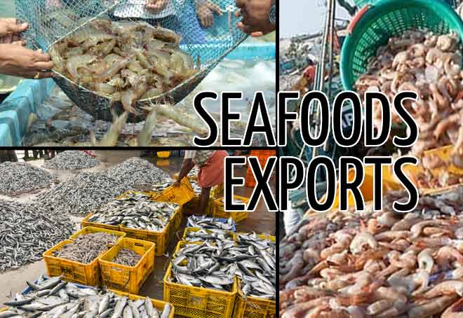 India's seafood exports cross $8 bn in 2022-23