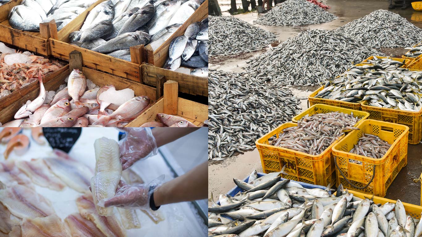 MPEDA Eyes Twofold Jump In Seafood Exports By 2030