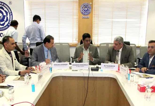 South Gujarat Chamber explores opportunities for Man-made-fibre with Egyptian cotton federation