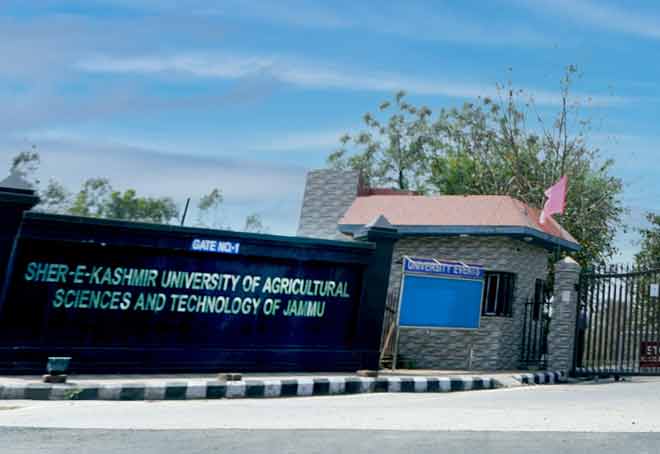 SKUAST-K conducts skill development programme in production of forest based products