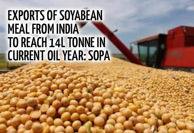 Exports of Soyabean meal from India to reach 14L tonne in current oil year: SOPA