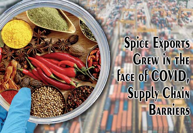 Spice exports grew in the face of covid, supply chain barriers: Industry