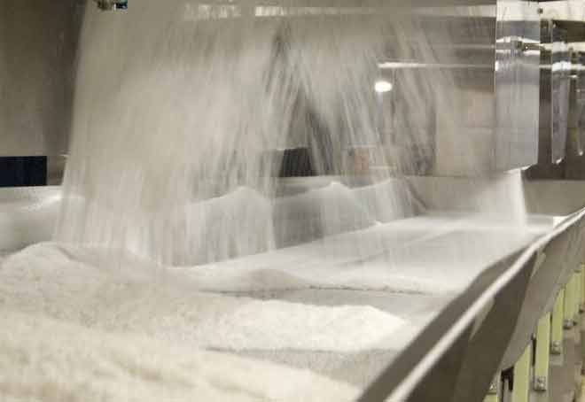 Bangladesh, Indonesia top markets for sugar exports from India: AISTA