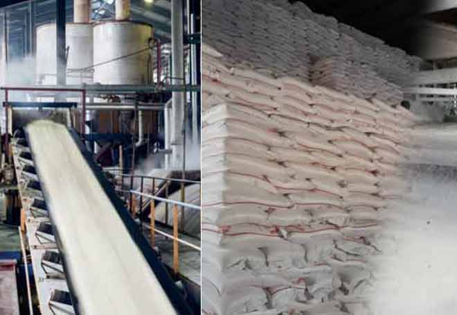 Sugar production up 3.42% in October-January of 2022-23: ISMA