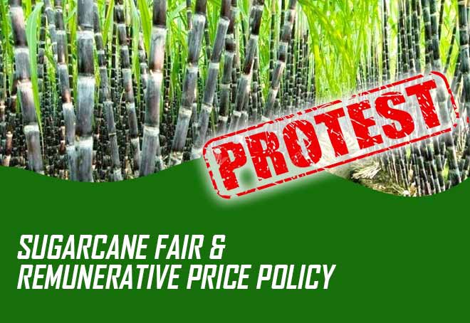 Karnataka farmers to protest against sugarcane Fair & Remunerative Price policy on Oct 27