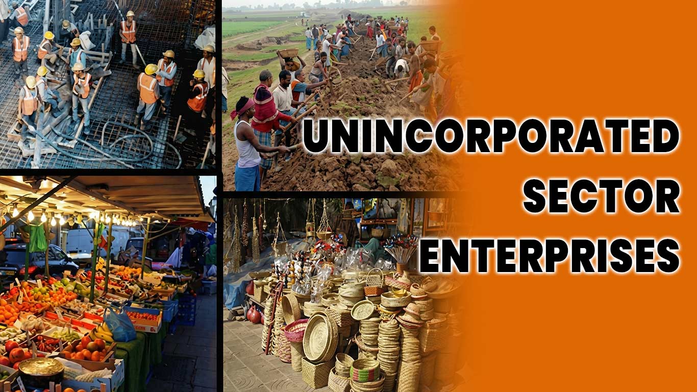 NSO Publishes First-Ever User Guide For Annual Survey Of Unincorporated Sector Enterprises