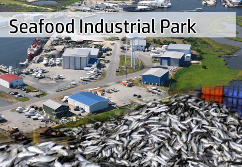 Seafood industrial park coming up on 100 acres at Sakkarakottai, Tamil Nadu