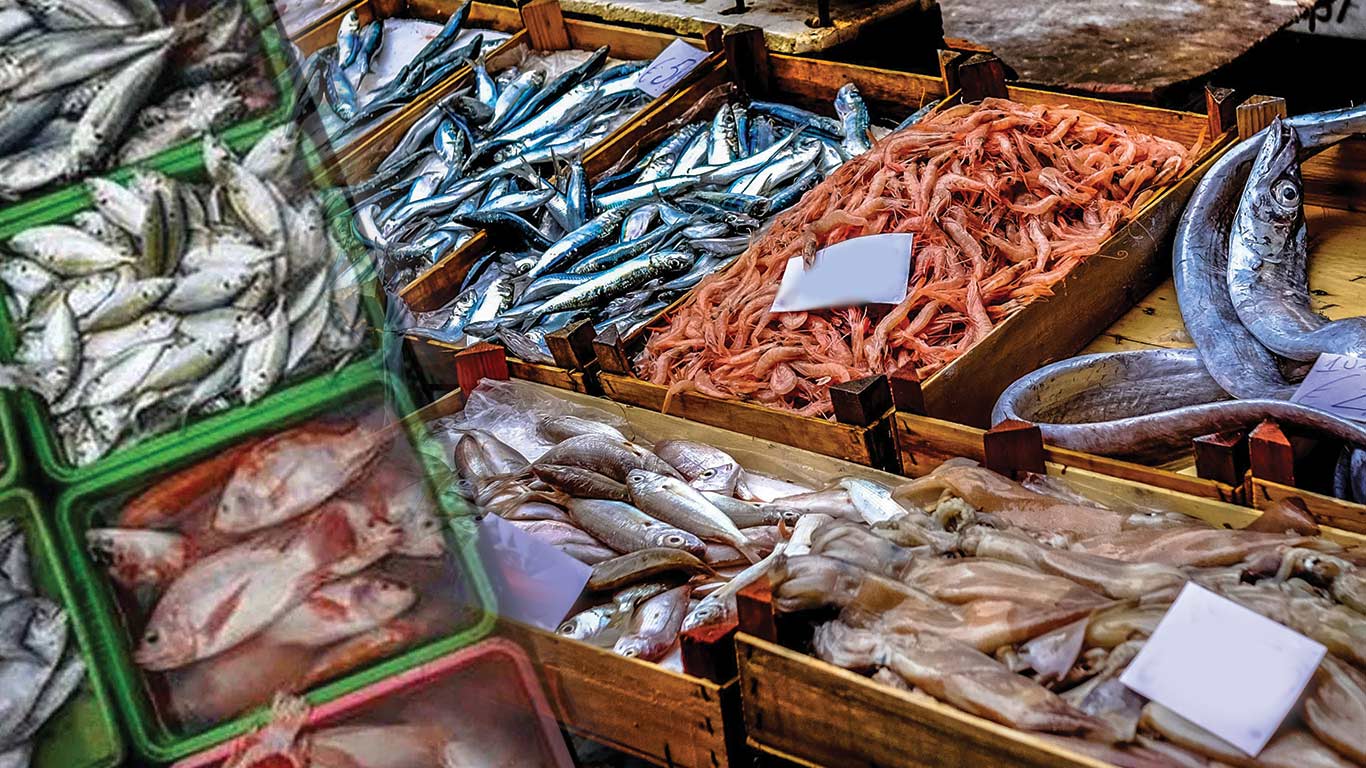 India To Have Competitive Edge Over Vietnam, Singapore in UK Seafood Market