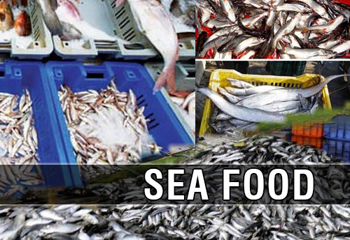 Center plans to make India number one exporter in Seafood sector