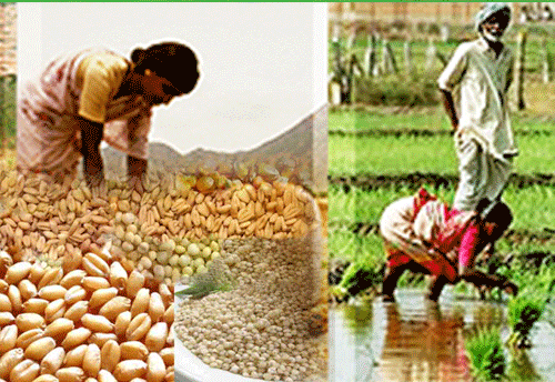 Farmers can use old Rs 500 bank notes to buy seeds from units or outlets belonging to govt