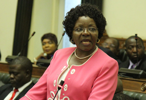 In a first, Zimbabwe to have dedicated bank to support Women operated businesses