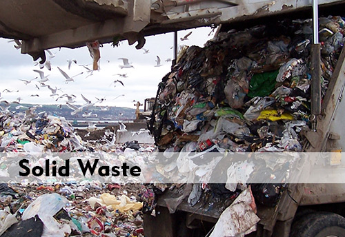 NGT slams authorities for failing to act on reducing solid waste
