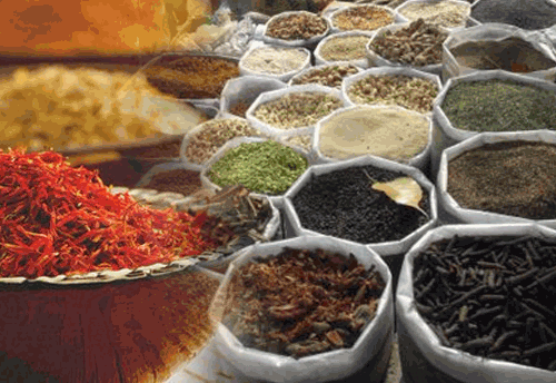 Proposed Spice Parks for Telangana gets govt’s nod, Industry to benefit