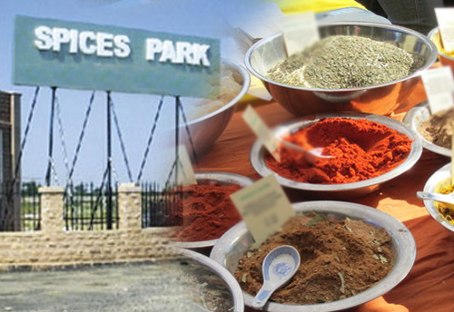 KINFRA gets in-principle approval to set up spices park in Idukki; Park to include plots for SMEs