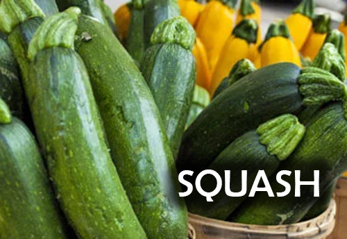Iraq bans import of Squash (KOSA) from all over the world