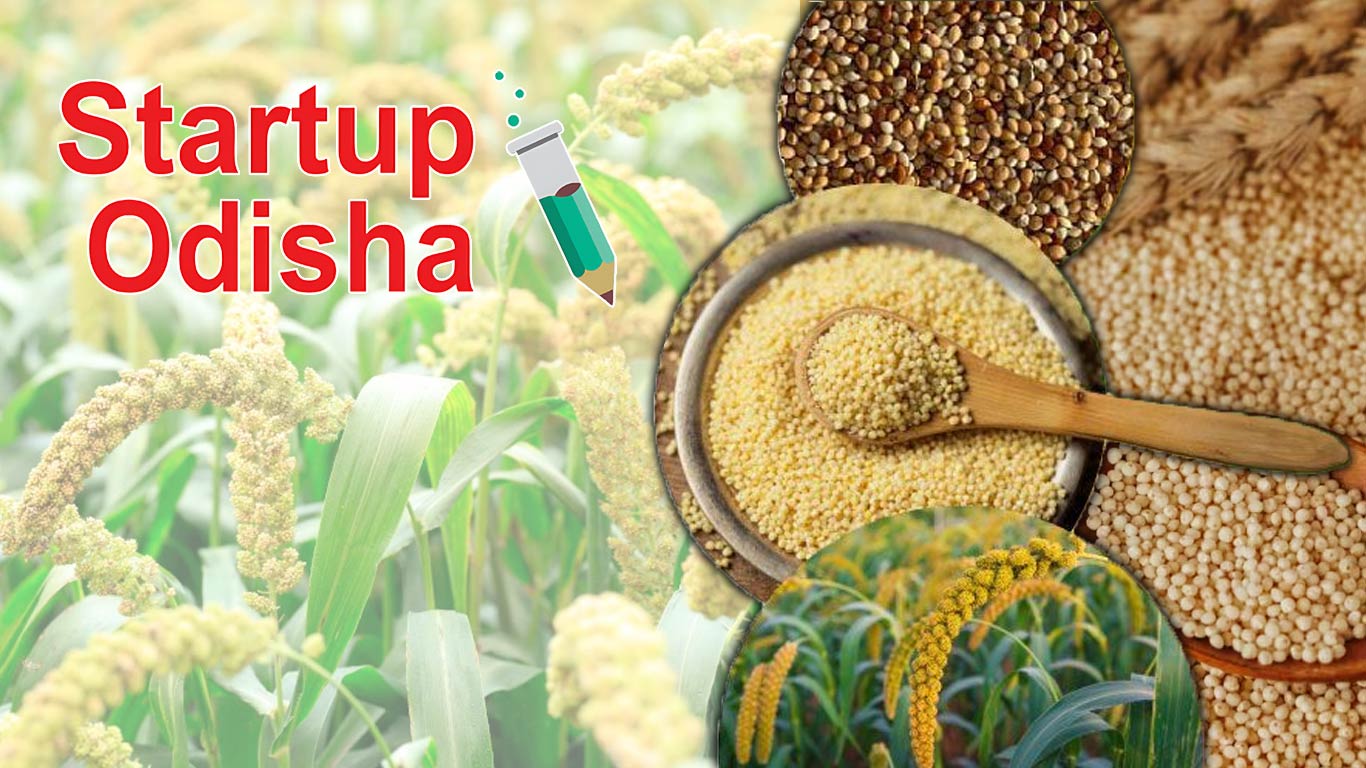 STARTUP Odisha Launches Millet Innovation Challenge To Showcase Transformative Solutions