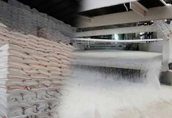 Maharashtra sugar mills body urge govt to announce export policy for next season