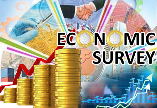 Credit growth to industry, both MSME as well as large industries, witnessed a significant decline in recent months: Economic Survey