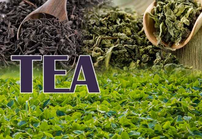 Develop Indian tea as brand rather than bulk export commodity: Tea Board