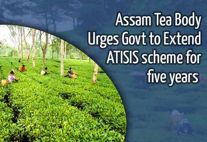 Assam tea body urges govt to extend ATISIS scheme for five years