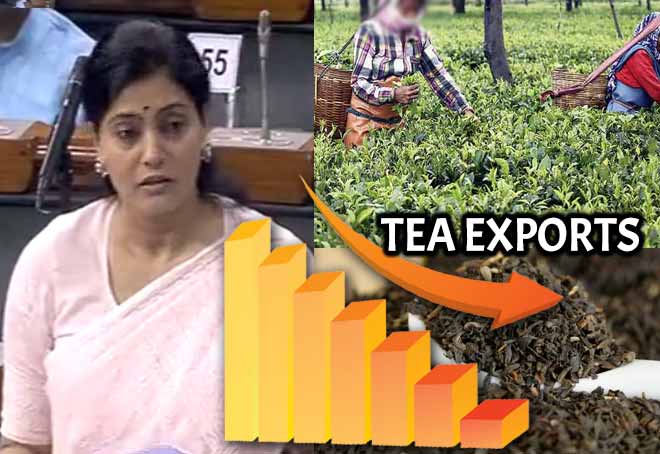 Tea exports from India down by 20% in last 5 years