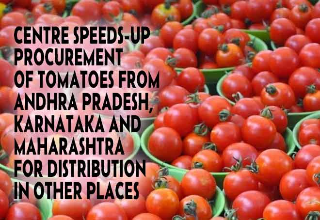 Centre speeds-up procurement of tomatoes from AP, Karnataka and Maharashtra for distribution in other places