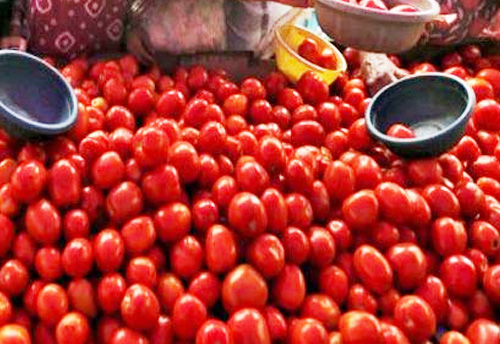 Tomato prices to drop soon