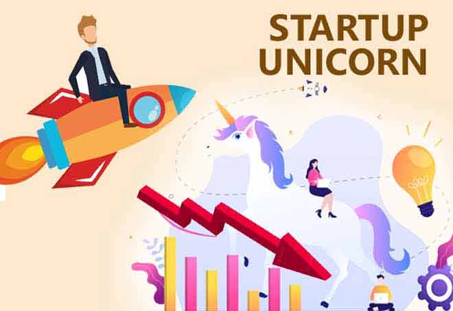 Fall in valuation shrinks Indian Unicorn list to 85