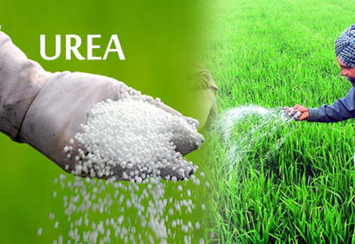Govt is importing approximately 20 Lakh Metric Tonnes of urea: Minister