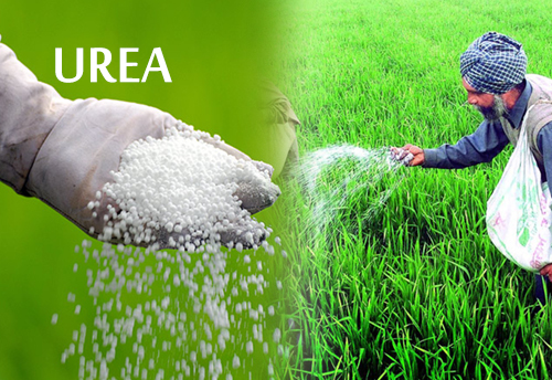 Distortions in urea are the result of multiple regulations: Economic Survey 2015-16